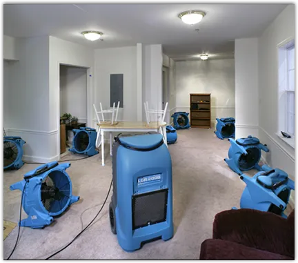 Water Damage Restoration services in Balch Springs, TX