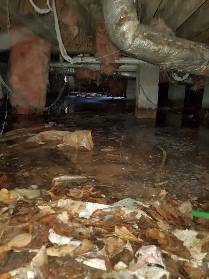 Crawl space flood assessment for Commercial Water Damage Restoration in Balch Springs