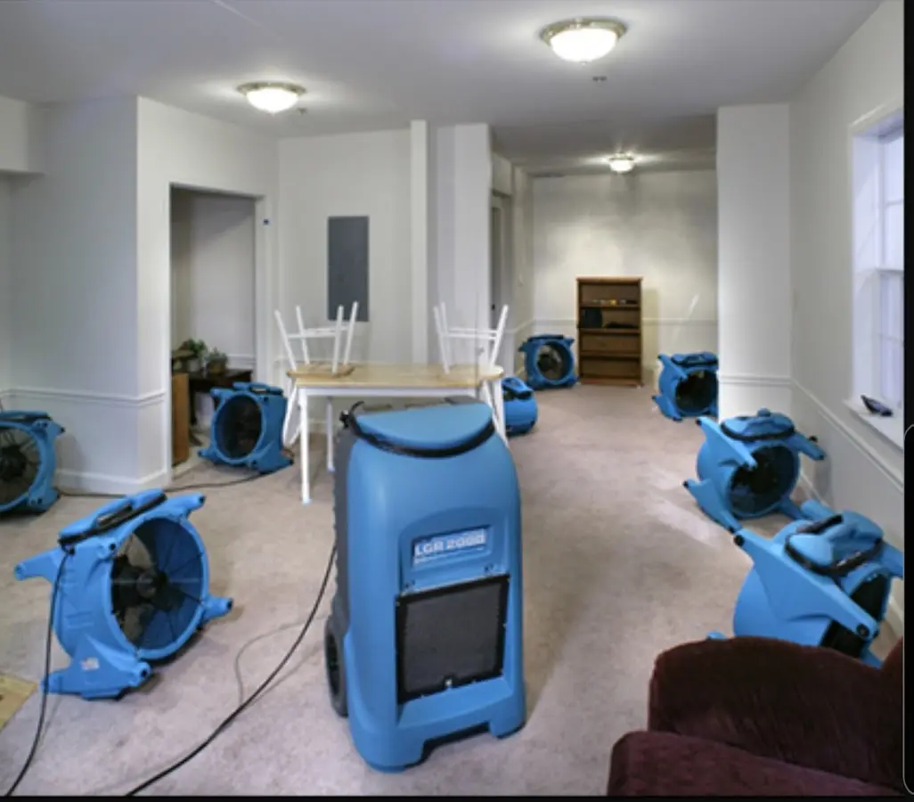 Air movers and dehumidifier setup for Water Extraction & Removal in Balch Springs