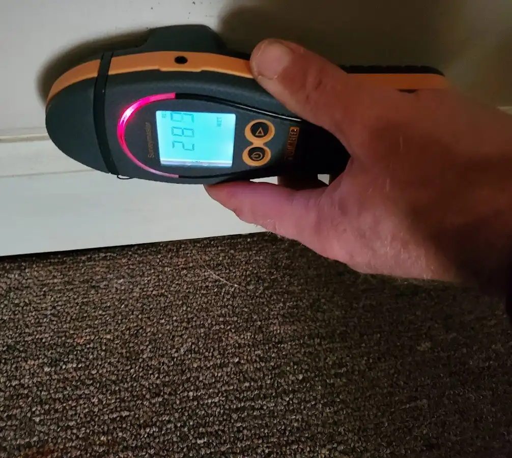 Moisture detection at baseboard during Burst Pipe Cleanup in Balch Springs